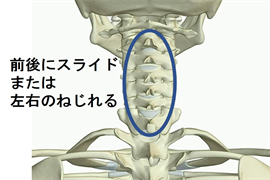 頸椎の画像